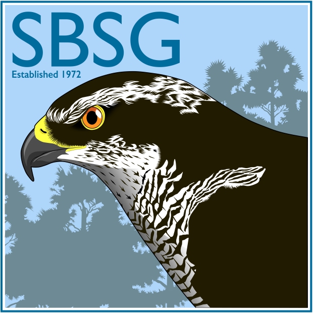 SBSG logo 2019